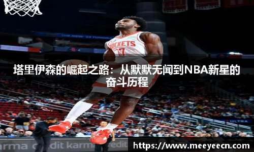 中国·BB贝博艾弗森