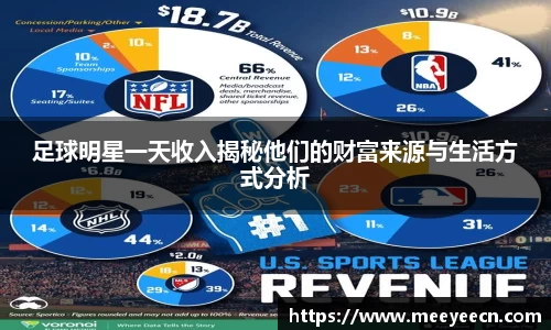 足球明星一天收入揭秘他们的财富来源与生活方式分析