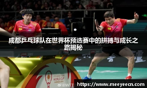 中国·BB贝博艾弗森