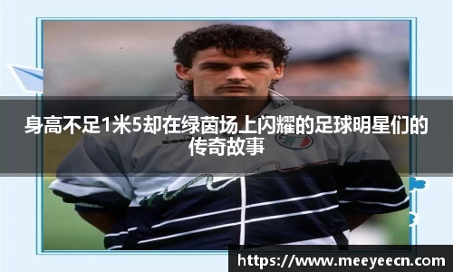 中国·BB贝博艾弗森(股份)有限公司-官方网站